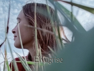 Elvagrise