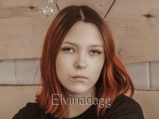 Elvinadagg