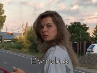 Elwinebuss