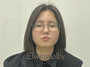 Elwinedolby