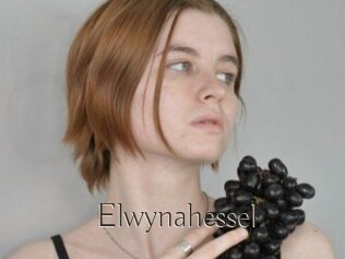 Elwynahessel
