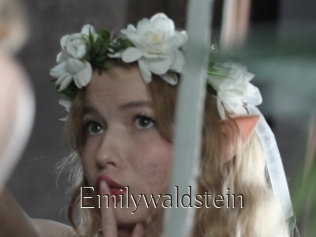 Emilywaldstein