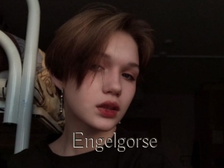 Engelgorse