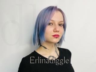 Erlinadiggle