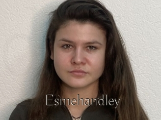 Esmehandley