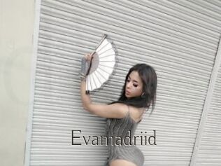 Evamadriid