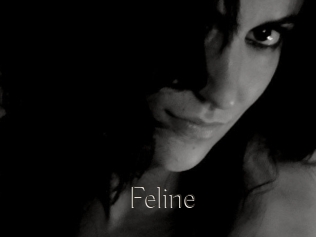 Feline