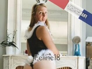 Feline18