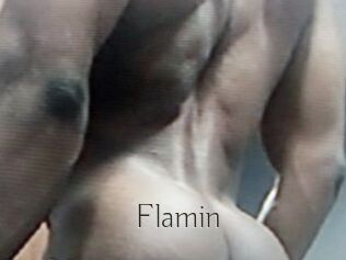 Flamin