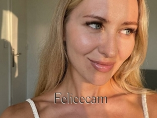 Felicecam