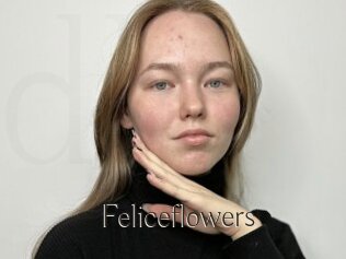Feliceflowers