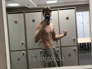 Fellixgarcia
