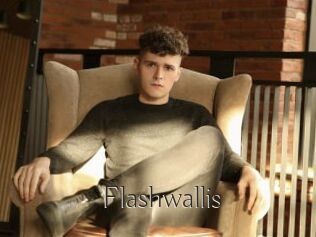 Flashwallis