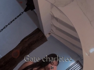 Gate_charlotee