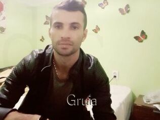 Gruia
