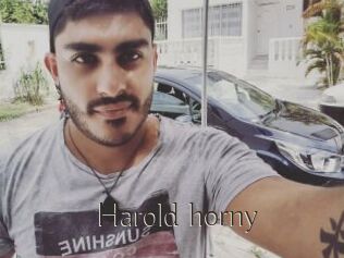 Harold_horny
