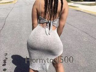 Hornytool500