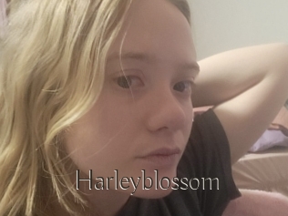 Harleyblossom