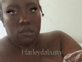 Harleydabusty
