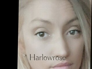 Harlowrose