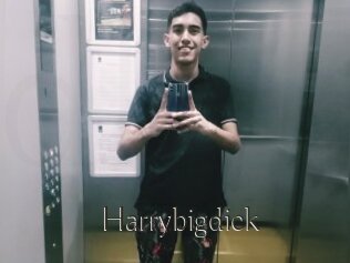 Harrybigdick