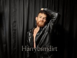 Harrybsmdirt