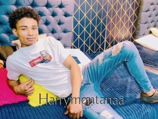 Harrymontanaa