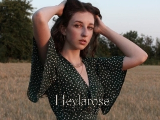 Heylarose