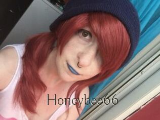 Honeybee66