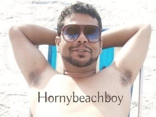 Hornybeachboy
