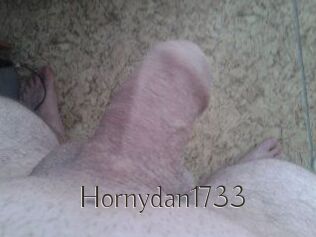 Hornydan1733