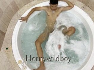 Hornywildboy