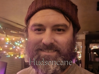 Hudsoncane
