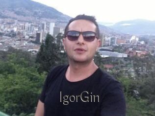 IgorGin
