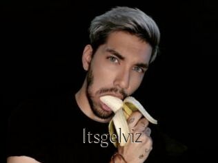 Itsgelviz