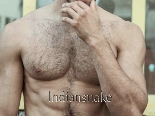 Indiansnake