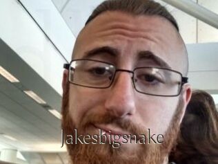 Jakesbigsnake