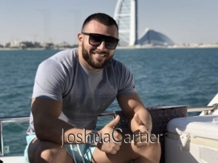 JoshuaCartier Dans le cul