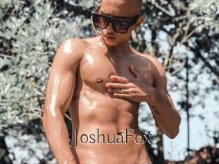 JoshuaFox