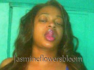 Jasmineflowersbloom