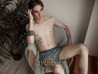 Jaybreeze