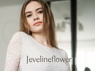 Jevelineflower