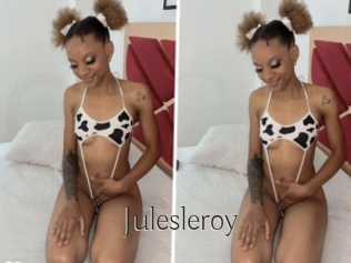 Julesleroy