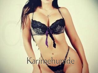 Karimehunide