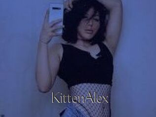 KittenAlex