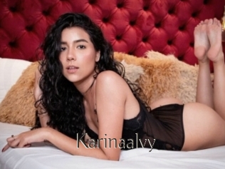 Karinaalvy
