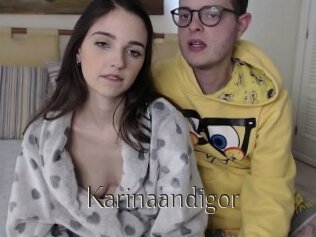 Karinaandigor