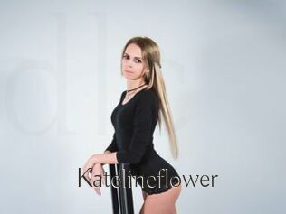 Katelineflower