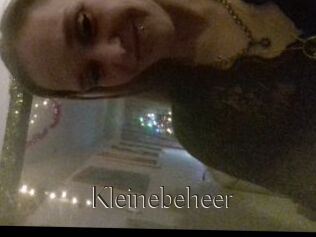 Kleinebeheer