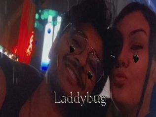 Laddybug